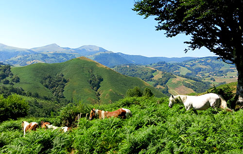 南西フランス周遊|ボルドー発 海山バスク・ピレネー山脈 ・世界遺産 南西フランス周遊|ボルドー発 海山バスク・ピレネー山脈 ・世界遺産